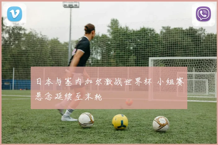 日本与塞内加尔激战世界杯 小组赛悬念延续至末轮