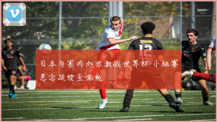 日本与塞内加尔激战世界杯 小组赛悬念延续至末轮