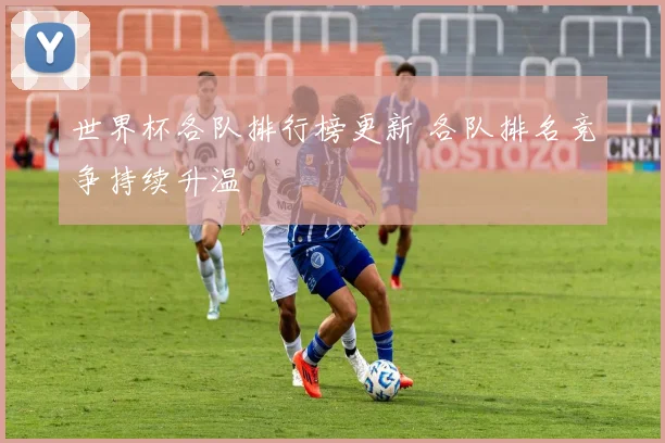世界杯各队排行榜更新 各队排名竞争持续升温